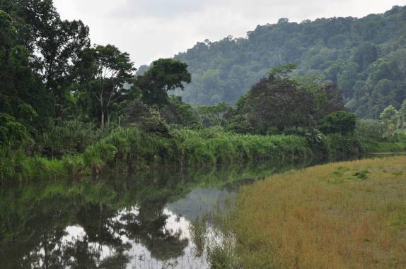 O lindo caminho para Bahía Drake, na Península de Osa, no sul da Costa Rica